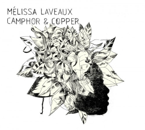 melissalaveaux-camphorandcopper