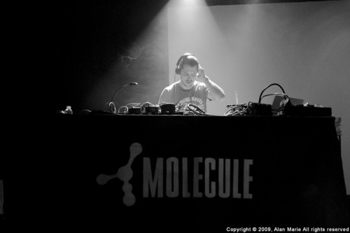 molecule-live-1