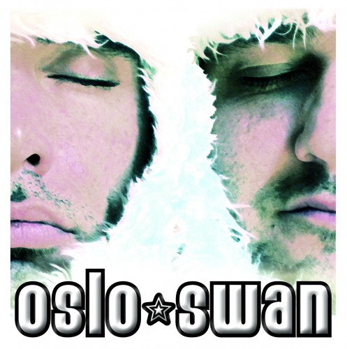 oslo-swan-oslo-swan