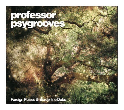 professorpsygrooves-foreignpulsesandborderlinedubs